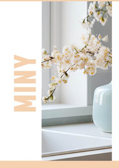 Miny