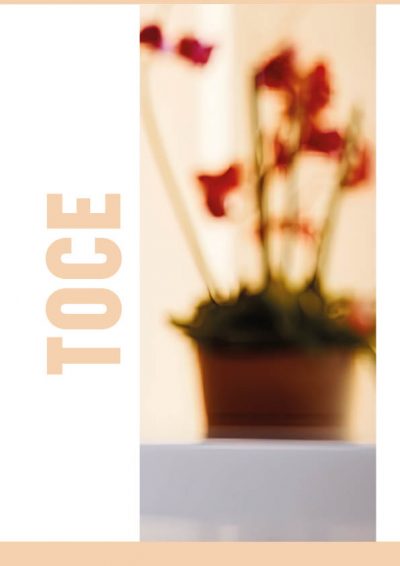 Toce